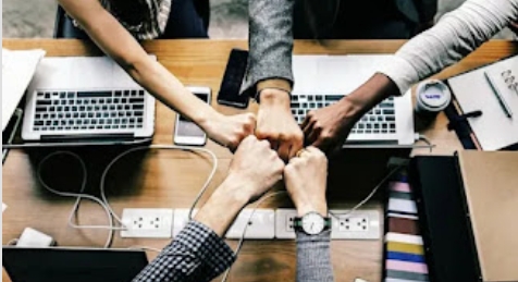 Startup incubation and investment